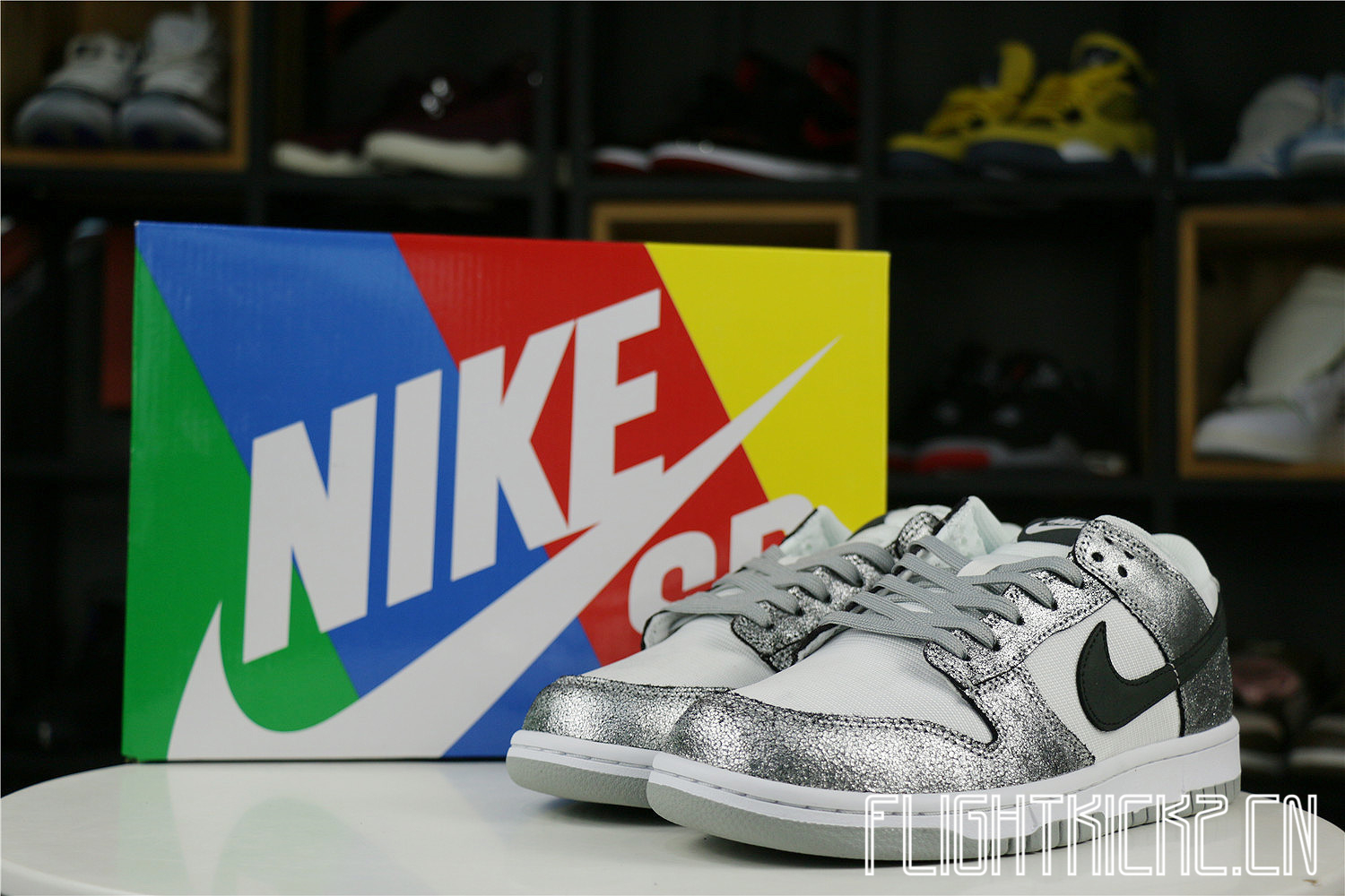 Nike Dunk Low Golden Gals Metallic Silver