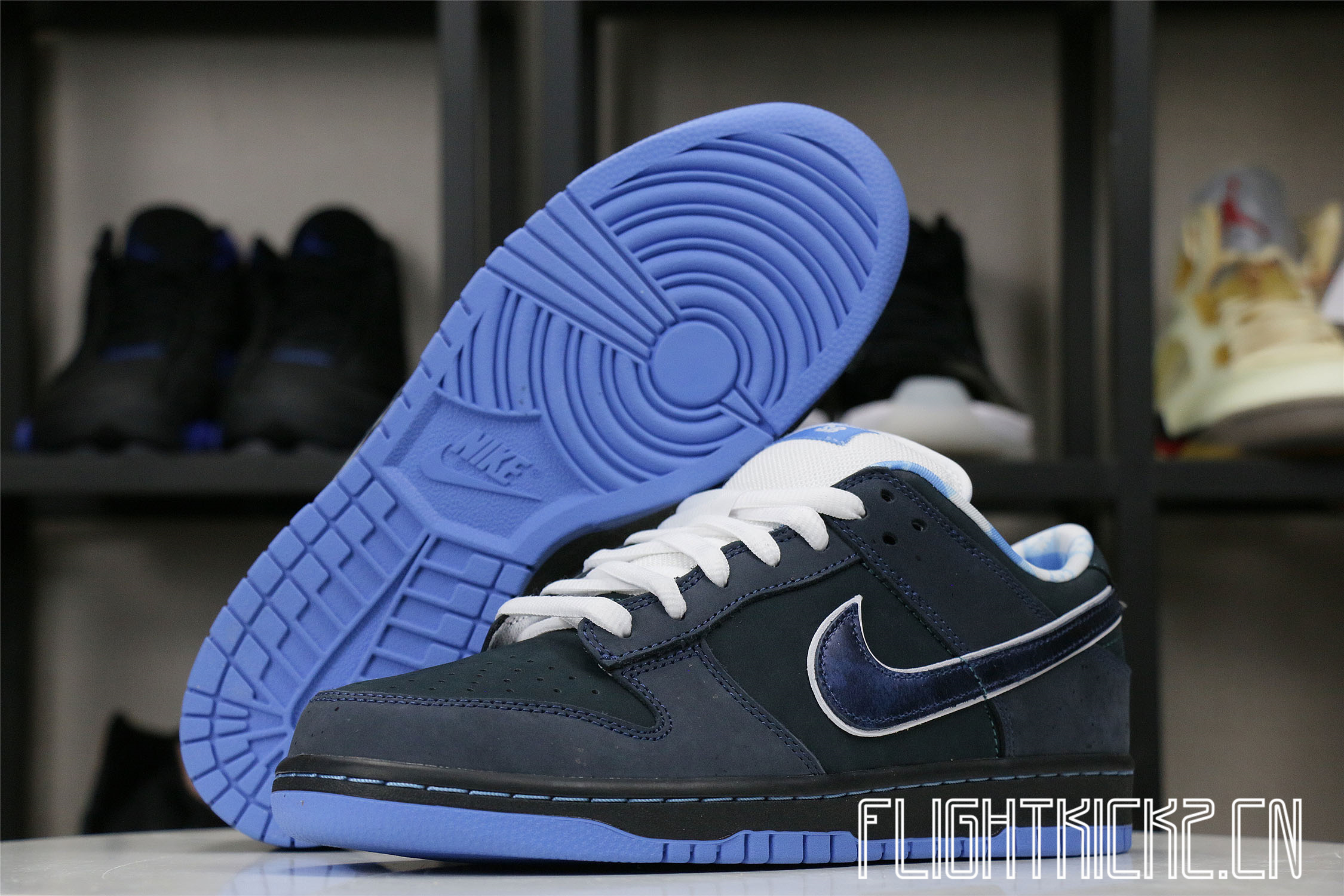Nike Dunk SB Low Blue Lobster