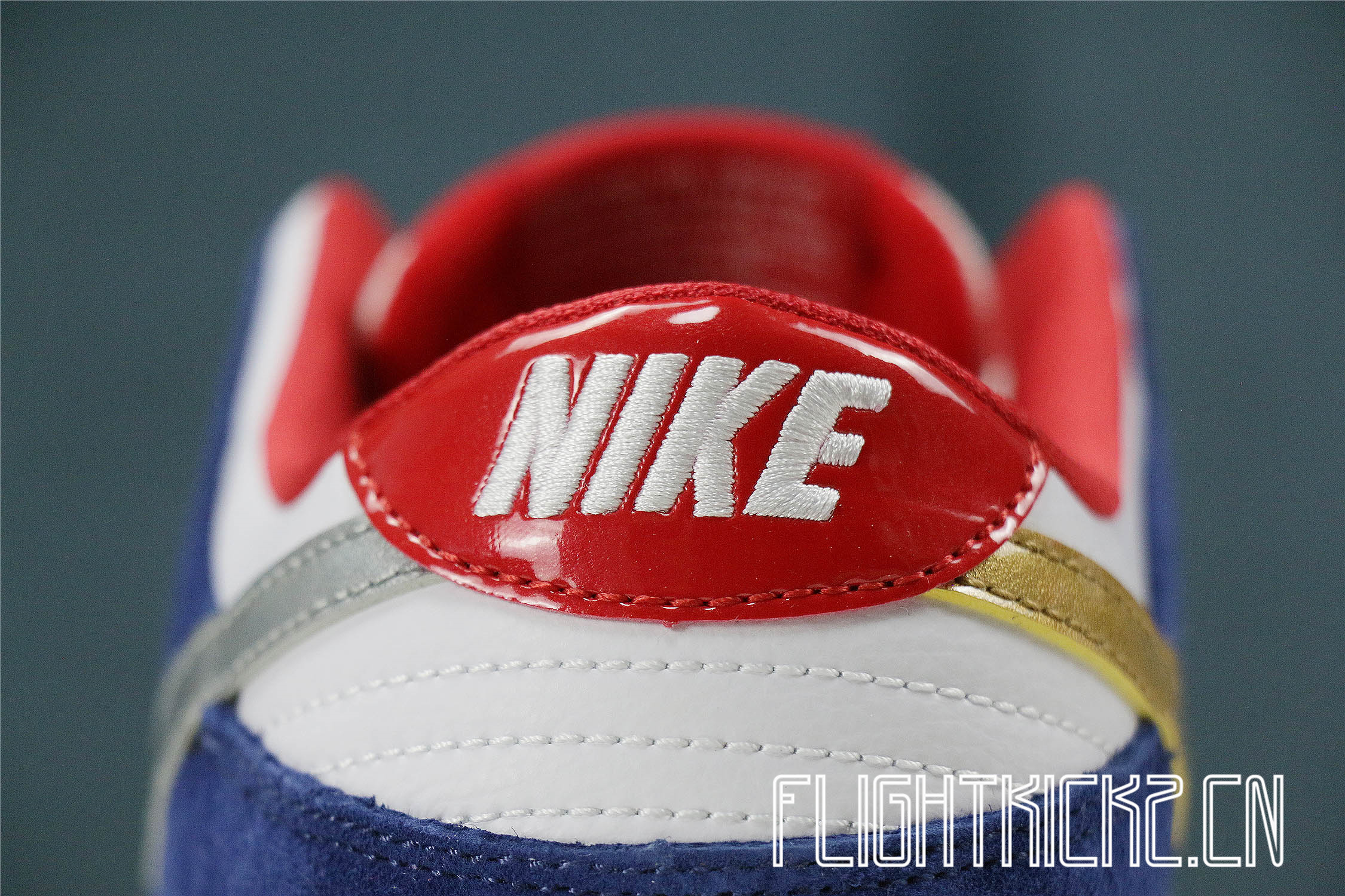 Nike Dunk SB Low Ishod Wair BMW