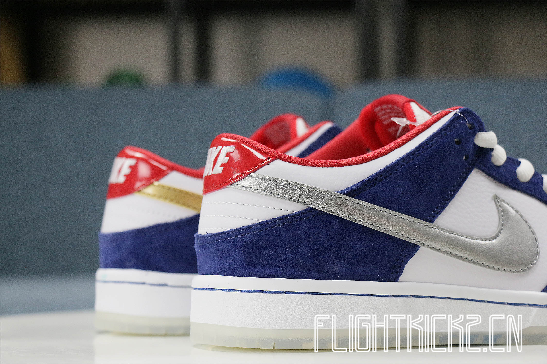 Nike Dunk SB Low Ishod Wair BMW