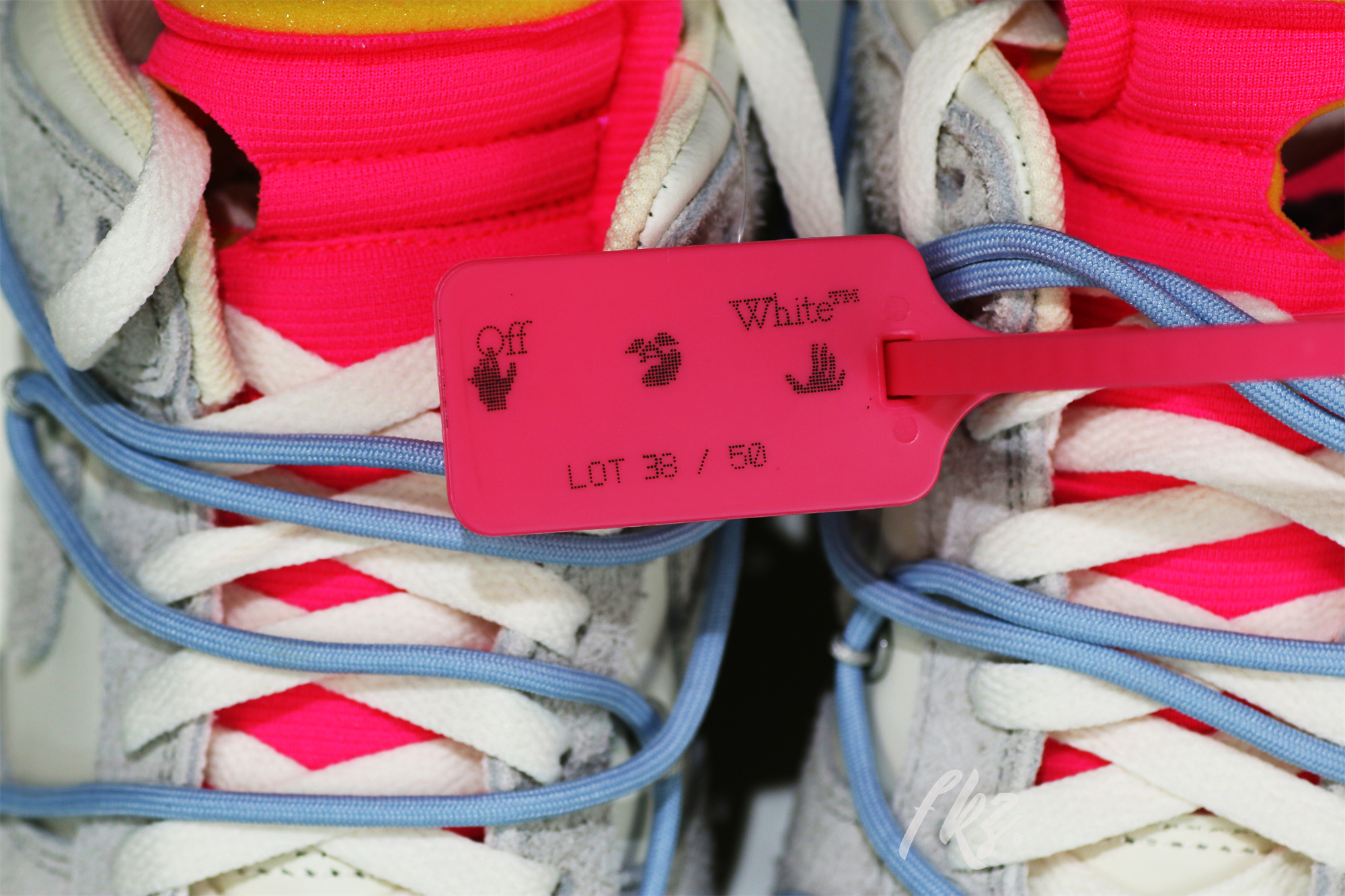 Nike Dunk Low Off-White Lot 38