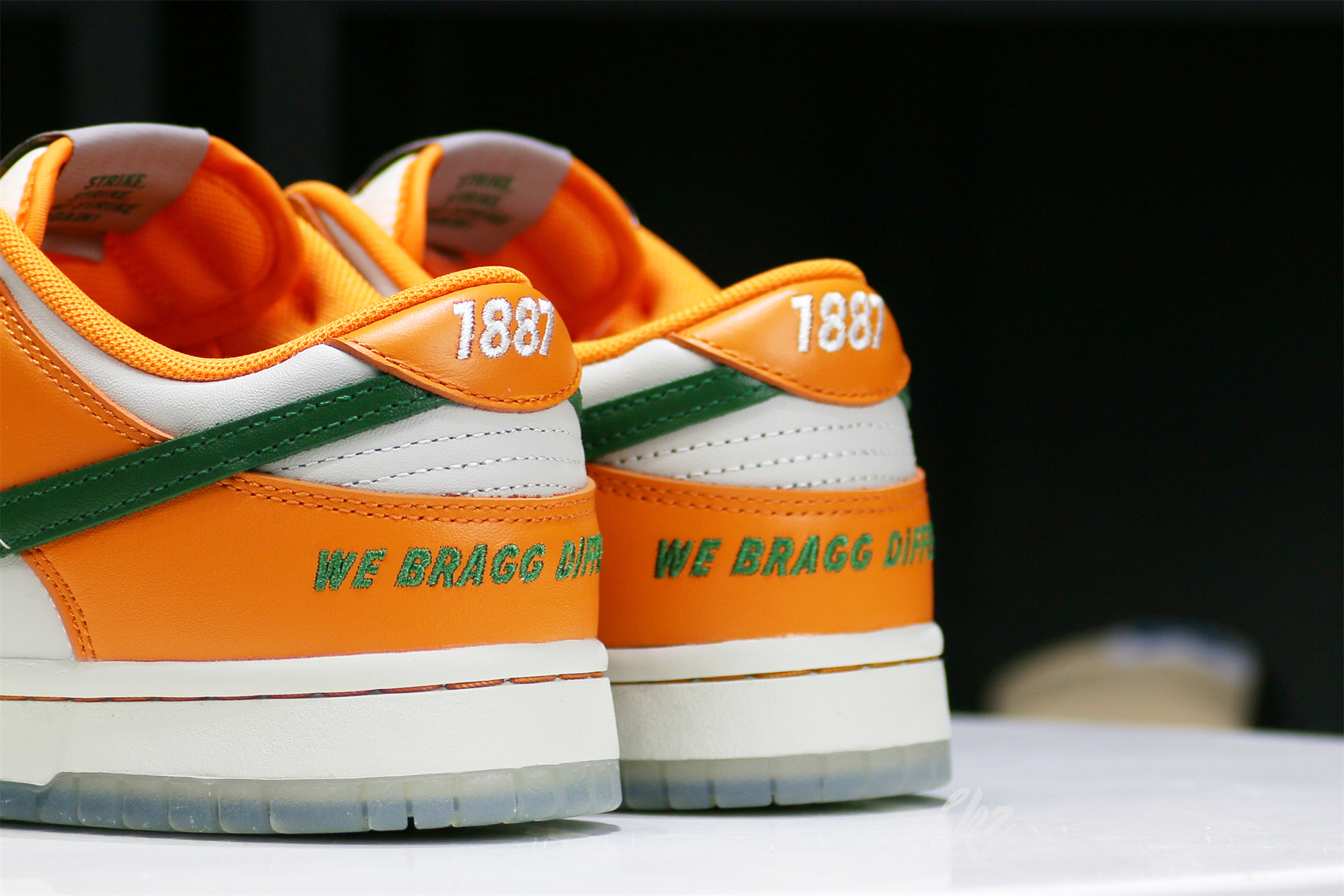 Nike Dunk Low Florida A&M University