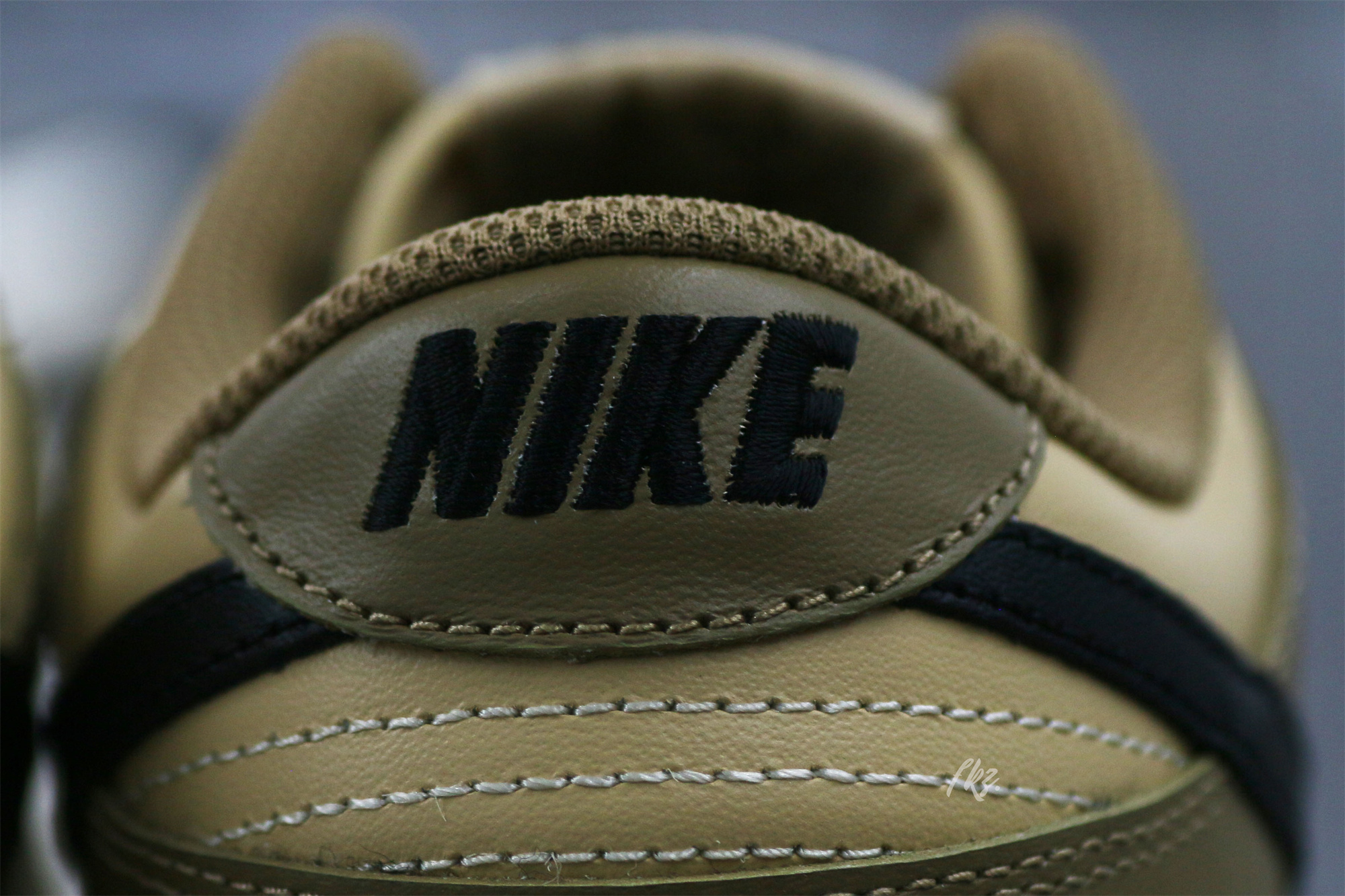 Nike Dunk Low Dark Driftwood (W)