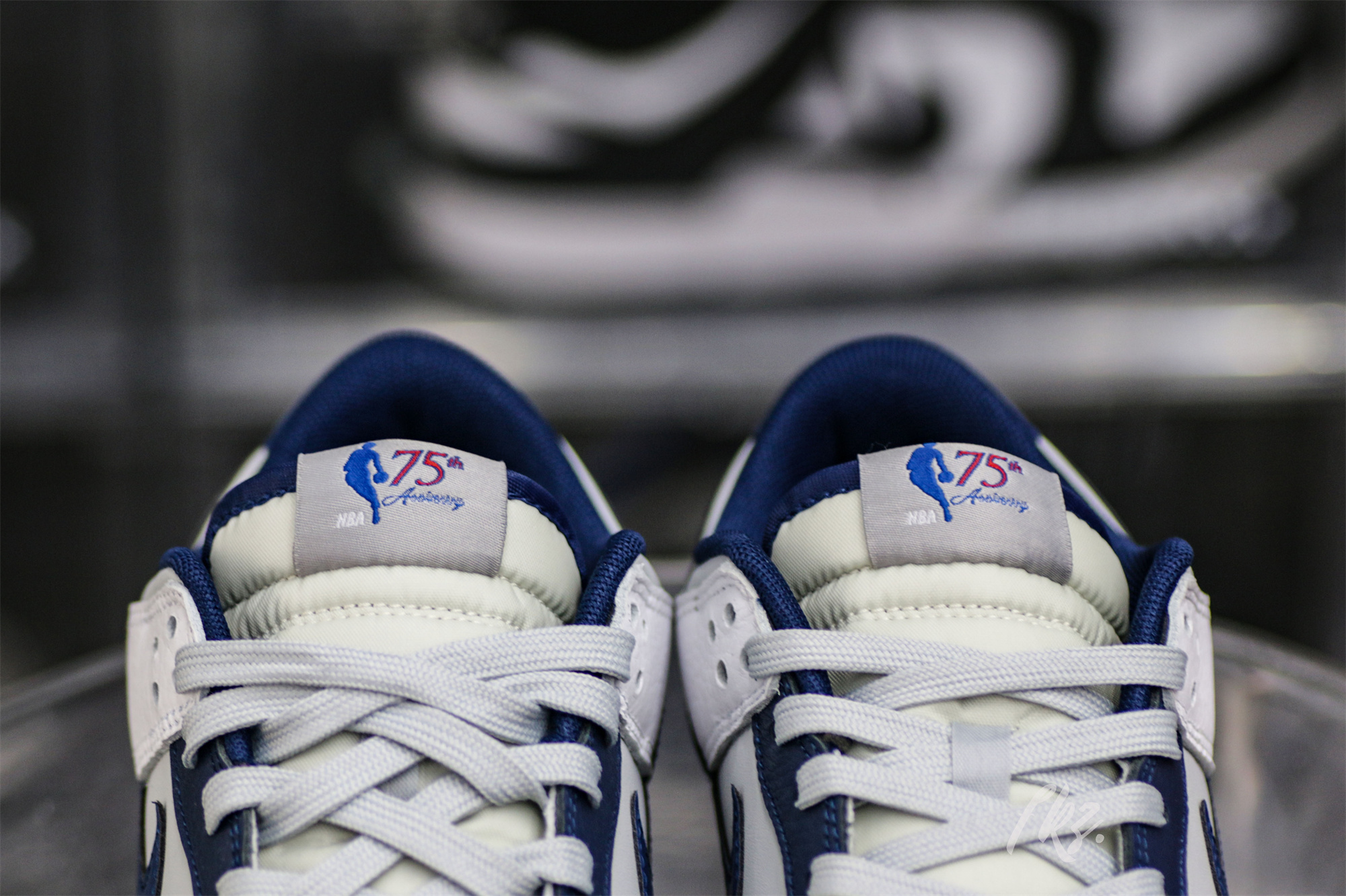 Nike Dunk Low EMB NBA 75th Anniversary Brooklyn Nets