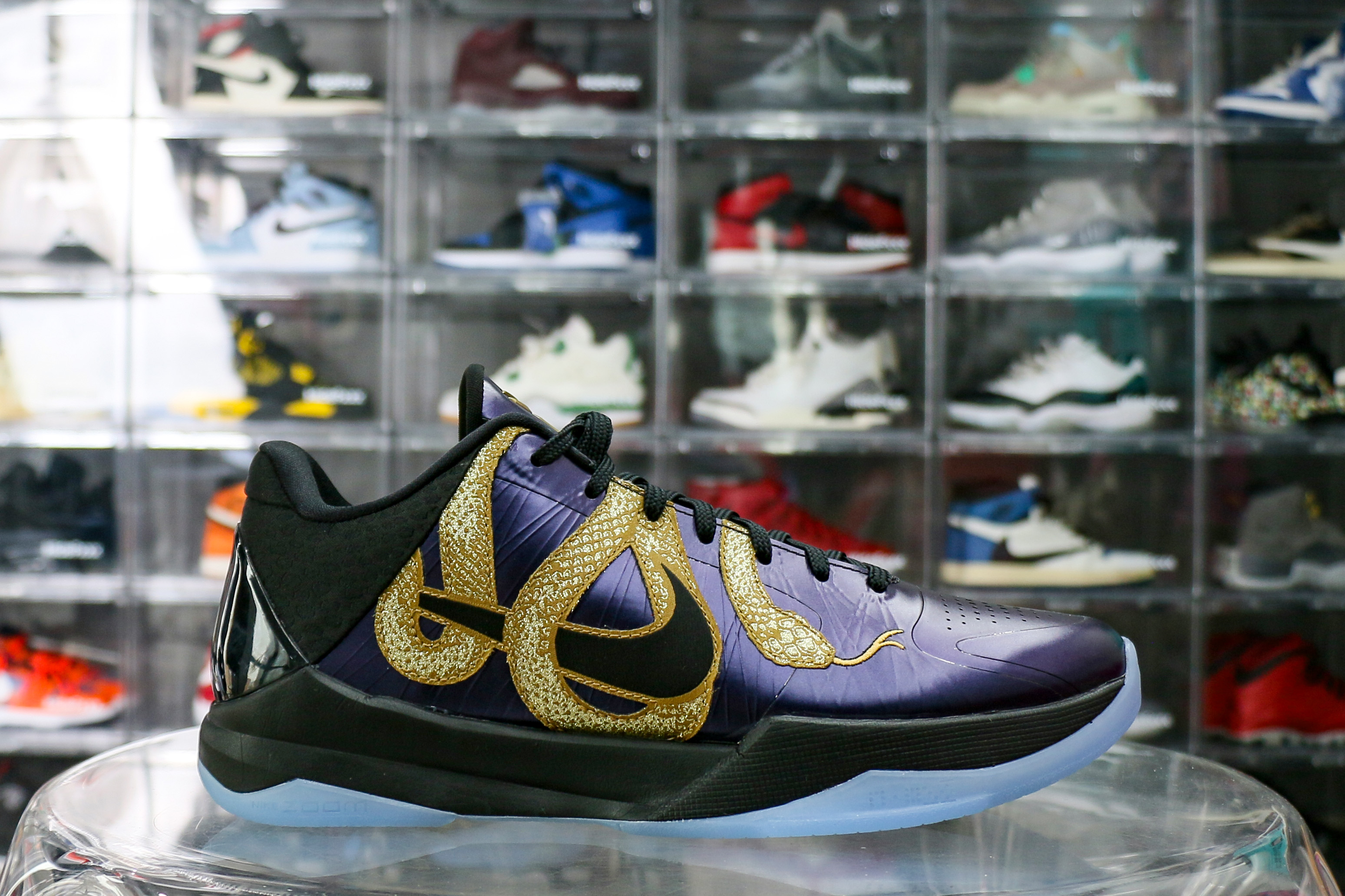 Nike Kobe 5 Protro Year of the Mamba Eggplant 2025（Ln5 A1）